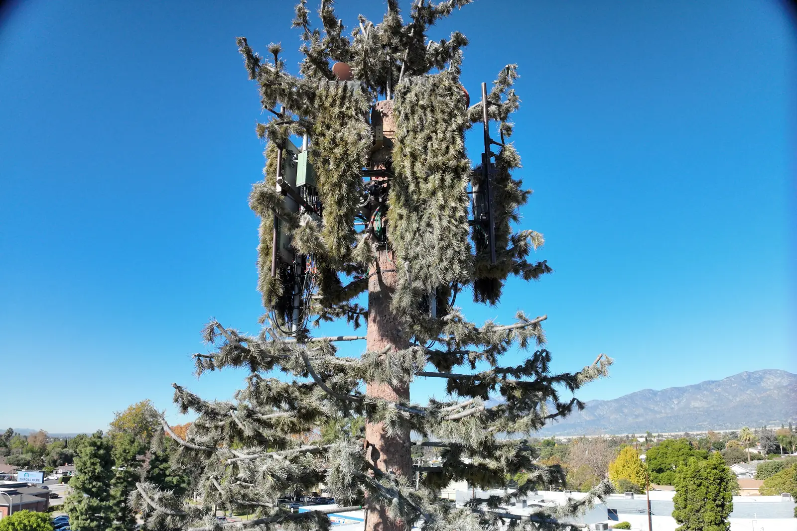 A drone at antenna height on a monopine cell tower: the panel antennas and radios among the artificial branches, mountains behind.