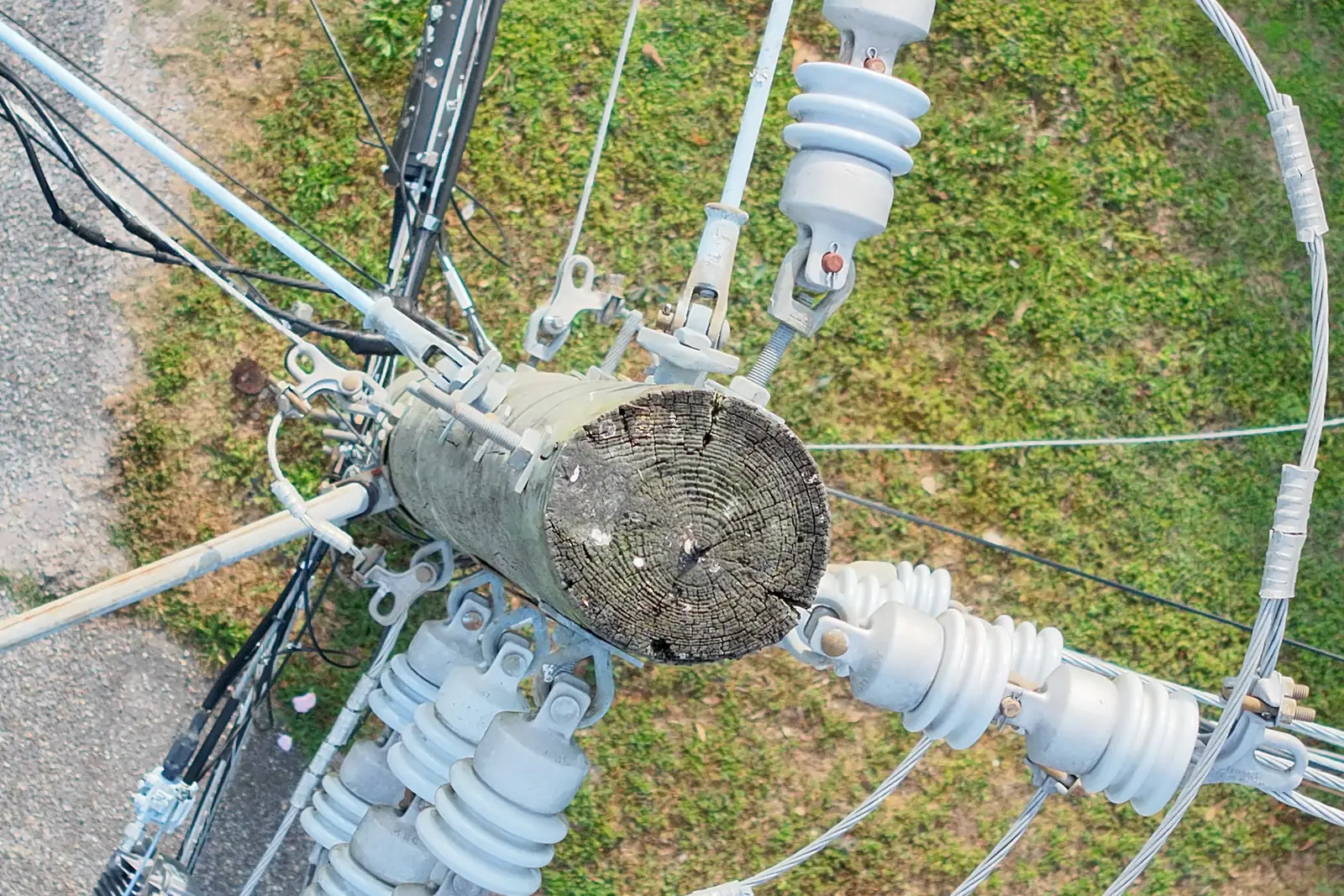 Looking straight down on a wooden utility pole top: the crossarm hardware, insulators and conductors fanning out over the grass.